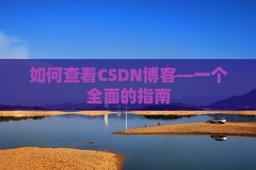 如何查看CSDN博客—一个全面的指南